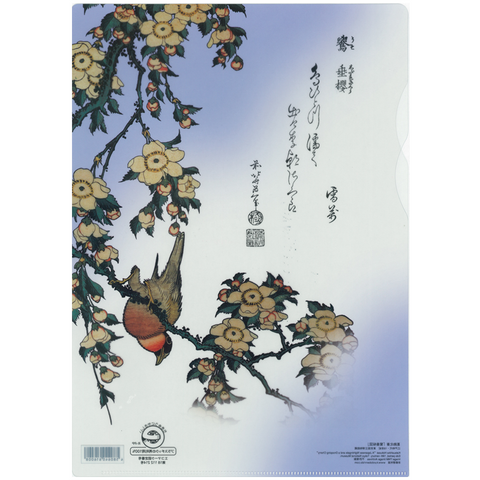 Japanese Clear Folder