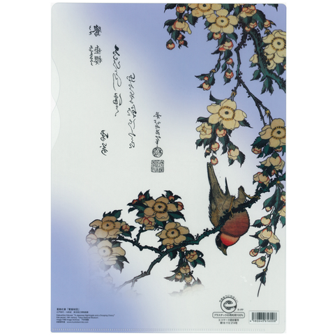 Japanese Clear Folder