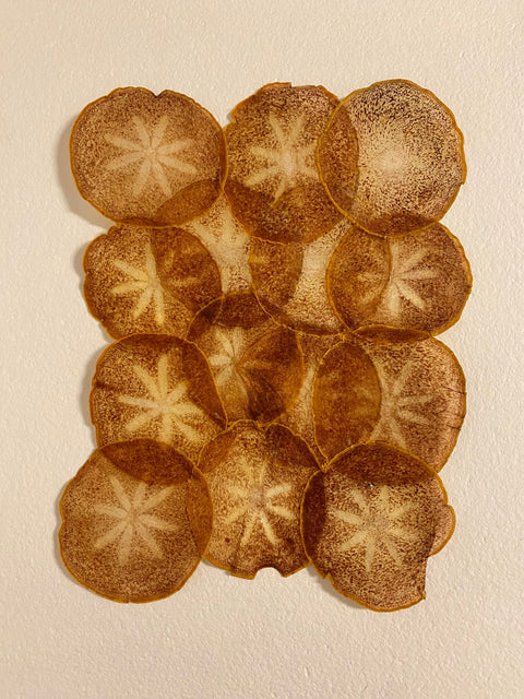 VF Papyrus Persimmon Light is a decorative sheet handmade in Germany from thinly sliced persimmon.