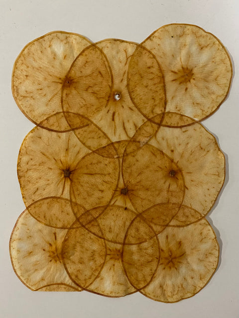 VF Papyrus Apple is a decorative sheet handmade in Germany from thinly sliced natural apple. Version 1