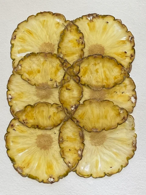 VF Papyrus Pineapple Unpeeled is a decorative sheet handmade in Germany from thinly sliced pineapple.
