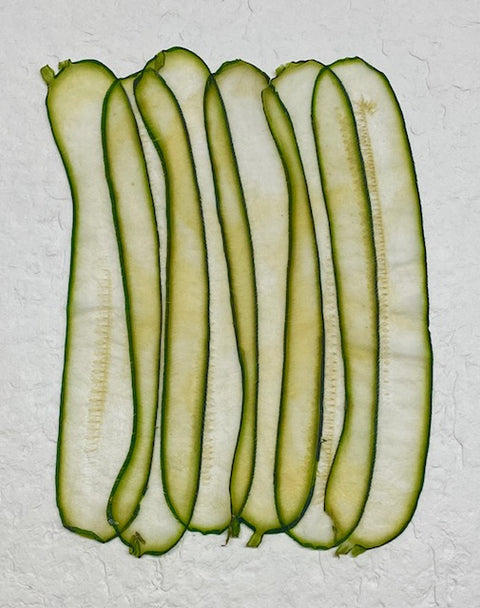 VF Papyrus - Zucchini (Long)