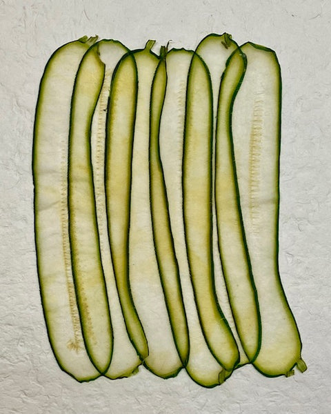 VF Papyrus - Zucchini (Long)