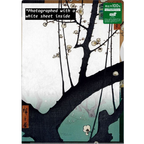 Japanese Clear Folder