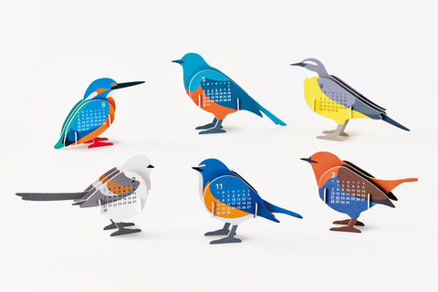 2027 Birds Calendar