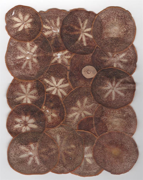 VF Papyrus - Persimmon (Dark)