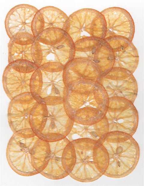 VF Papyrus - Orange