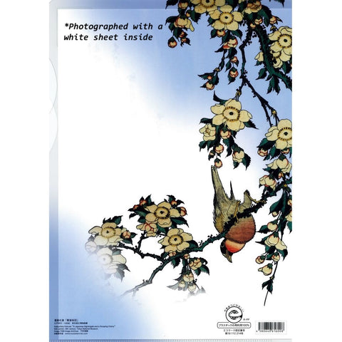 Japanese Clear Folder