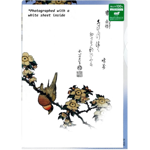 Japanese Clear Folder