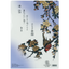 Japanese Clear Folder