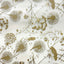 Rossi Italian Decorative Paper Series