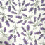 Rossi Italian Decorative Paper Series