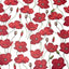 Rossi Italian Decorative Paper Series