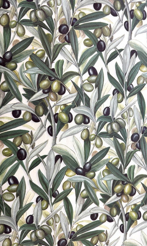Rossi Italian Decorative Paper Series