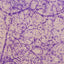 High Noon 21"x27" craft product showing detailed design texture and product finish