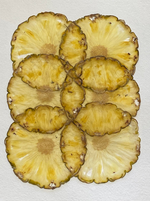 VF Papyrus Pineapple Unpeeled is a decorative sheet handmade in Germany from thinly sliced pineapple.