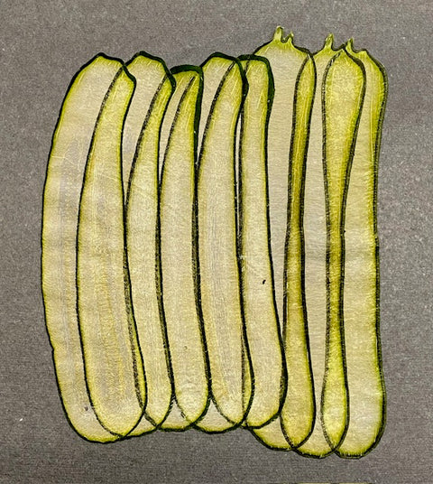VF Papyrus - Zucchini (Long)