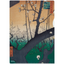 Japanese Clear Folder