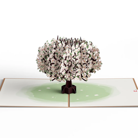 Lovepop Pop-up Card: Pink Magnolia Tree pop up greeting card showing detailed design texture and product finish
