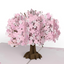Lovepop Pop-up Card: Cherry Blossom
