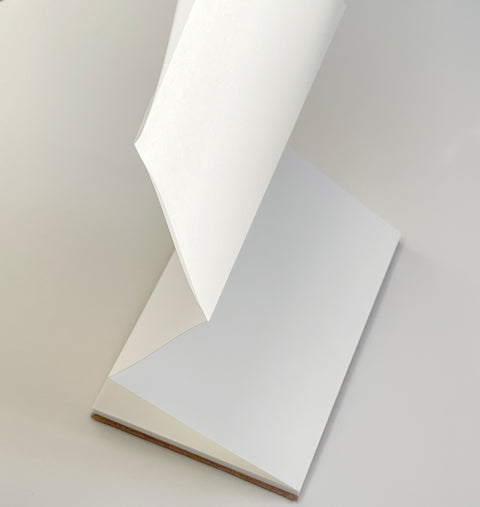 Orihon- Japanese Accordion Notebooks: Large Kakishibu Momigami