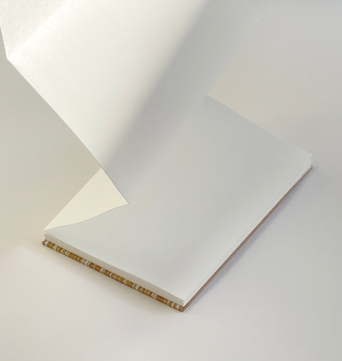 Orihon- Japanese Accordion Notebooks: Large Kakishibu Shima
