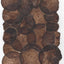 VF Papyrus - Beets
