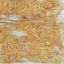 Funori (Seaweed)